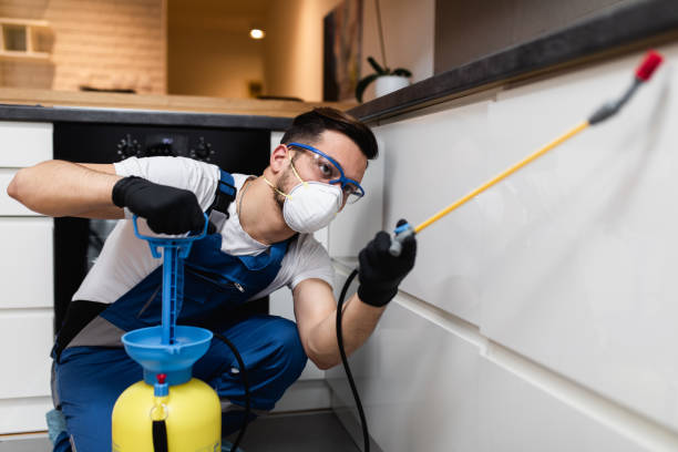 Best Affordable Pest Control Services  in Conover, NC